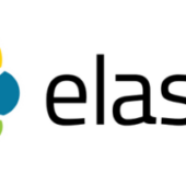 Elastic - a leading platform for search-powered solutions