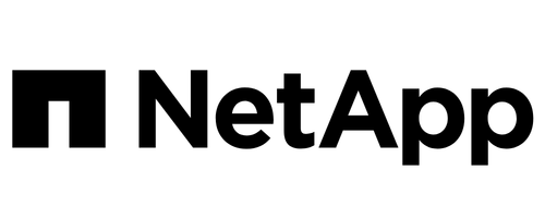 NetApp CIO 100 IN